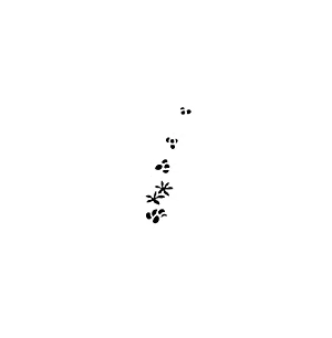 Robert's Coffee